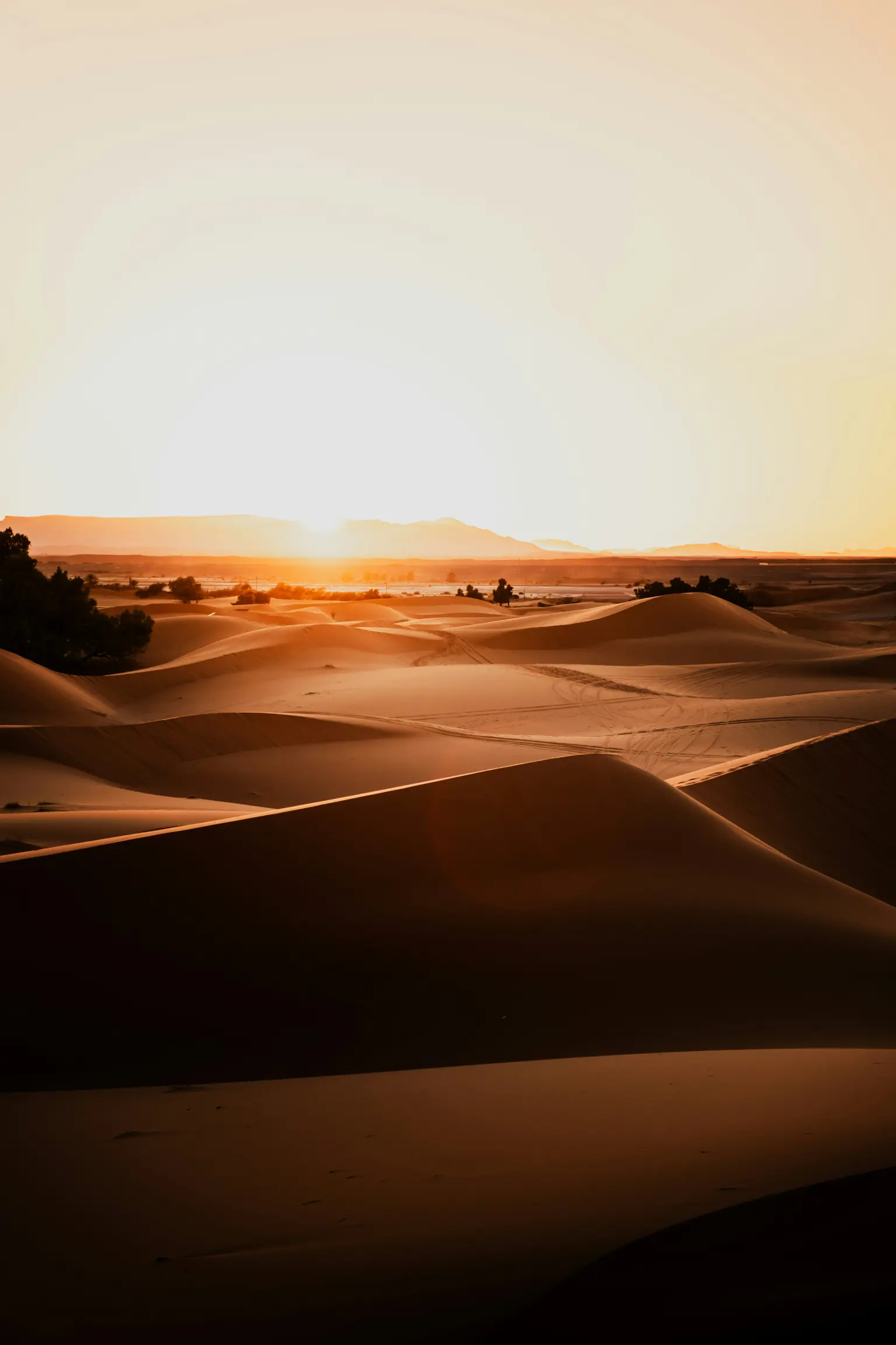I want to go on a 5-day Dubai desert vacation with my partner