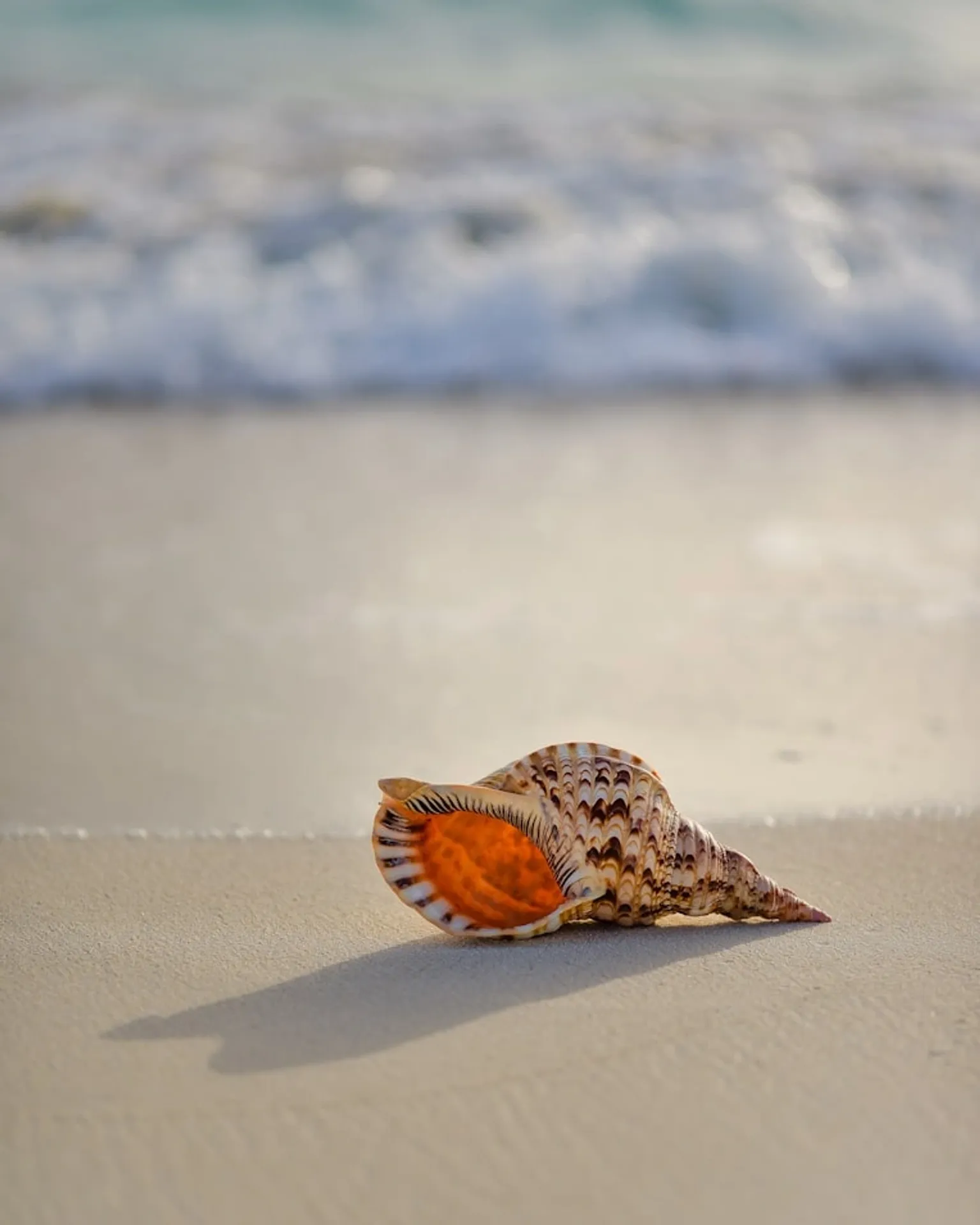 A serene beach landscape with crystal-clear waters and soft white sand under a bright blue sky.