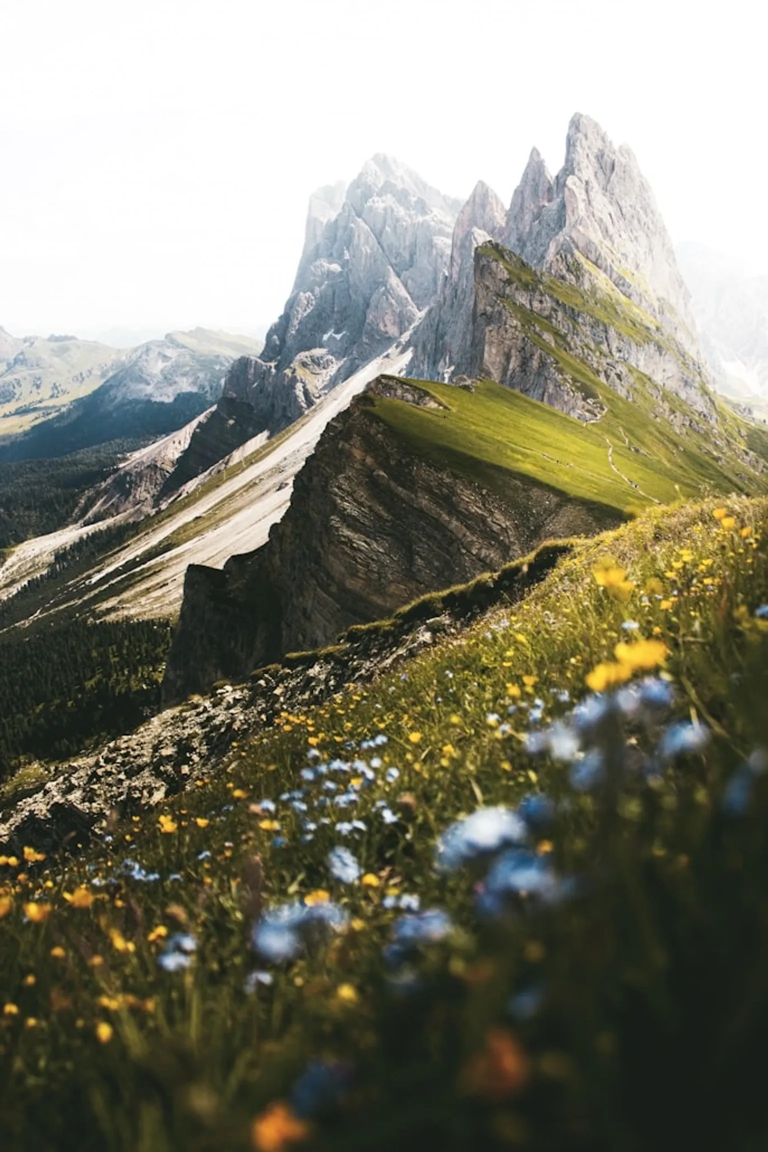 Scenic mountain landscape with lush greenery and clear blue skies.