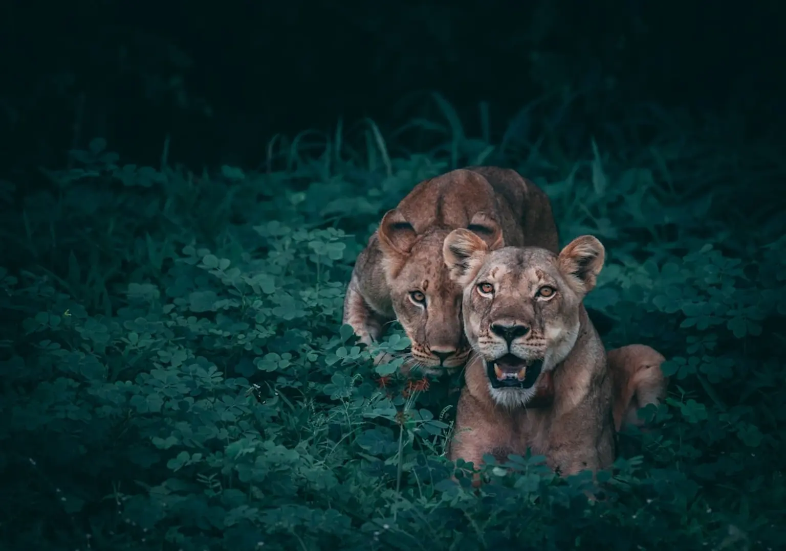 Vibrant landscape featuring diverse wildlife in their natural habitat, showcasing the beauty of nature.